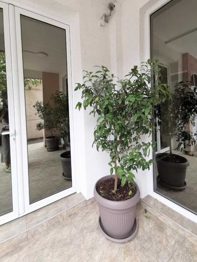 Hotel Suzana Budva Luaran gambar