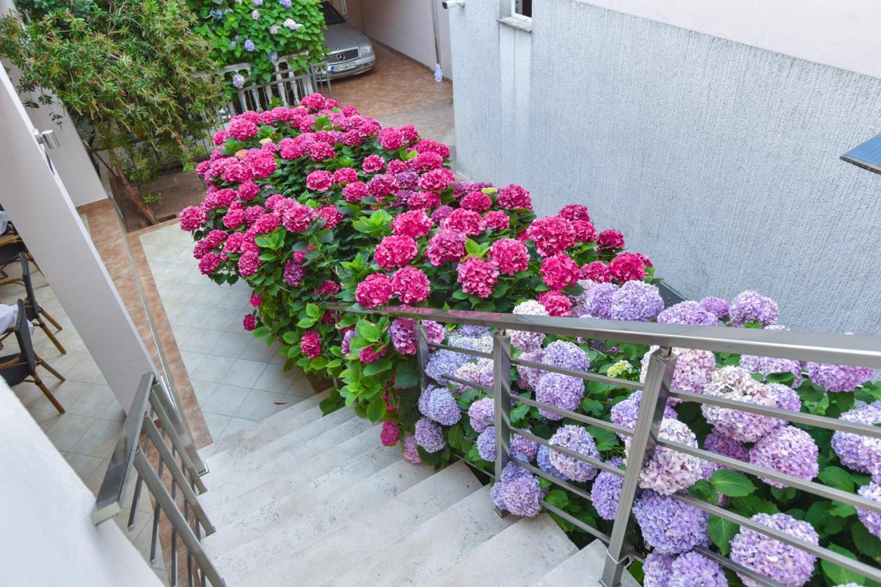 Hotel Suzana Budva Luaran gambar